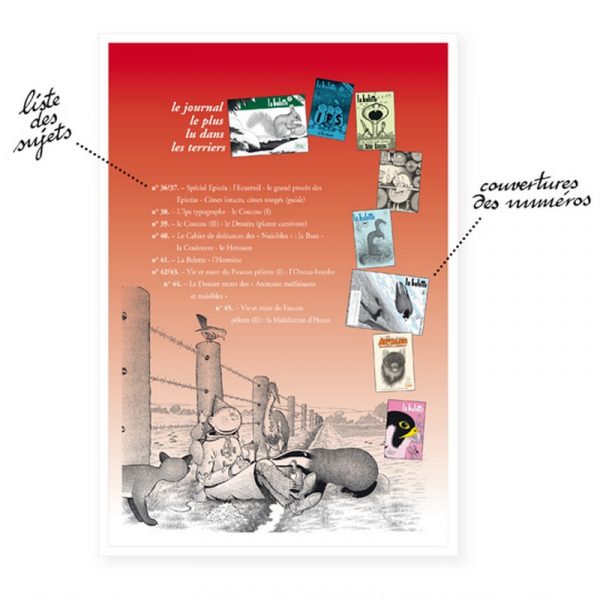 REVUES - La HULOTTE (Coffret N° 36 à 45) – Image 2