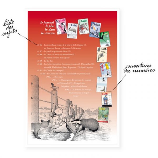 REVUES - La HULOTTE (Coffret N° 66 à 75) – Image 2